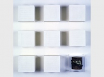 Provenance Unknown, 1995, Drum (Brighton Royal Pavilion & Museums, World Art Collection), perspex case, milk powder on board