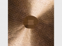 Tanzania (detail), 1995, brass plaque, cut brass wire