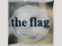 Angola (detail), 1995, etched and plain glass, screen print, acrylic & cellulose paint on board, 32 x 33.5 x 14.5 cms