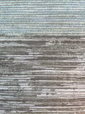 Land (detail), 2023, screenprint 