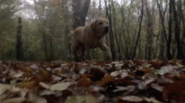 Autumn (PWP), 2023, composite Film Still