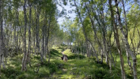 PWP, 2023, composite film still with walker partner Lena Gudd, Norway