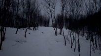 PWP, 2023, composite film still with walker partner Lena Gudd, Norway
