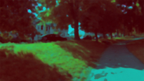 Significant Walks S.04 (detail) 2015. C-type reverse mounted digital print 24 x 43 cms