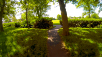 Significant Walks S.11 (detail) 2015. C-type reverse mounted digital print 24 x 43 cms