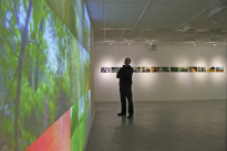 Gallery Projection #1a