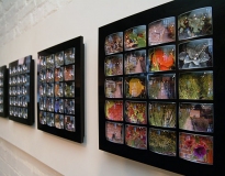 Thinking Path, 2003, mixed media, Shrewsbury Museum and Art Gallery (2004)